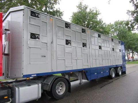 Pezzaioli SKFG2Z - 2019 - Pezzaioli - Livestock transport - 2 Floors - 2 steered axles | Companjen Bedrijfswagens BV [27]