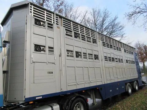 Pezzaioli SKFG2Z - 2019 - Pezzaioli - Livestock transport - 2 Floors - 2 steered axles | Companjen Bedrijfswagens BV [31]