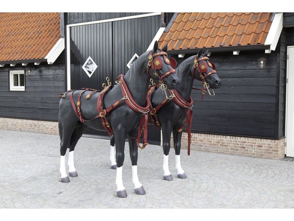 In our showroom we have a large - Van Der Wiel Harness