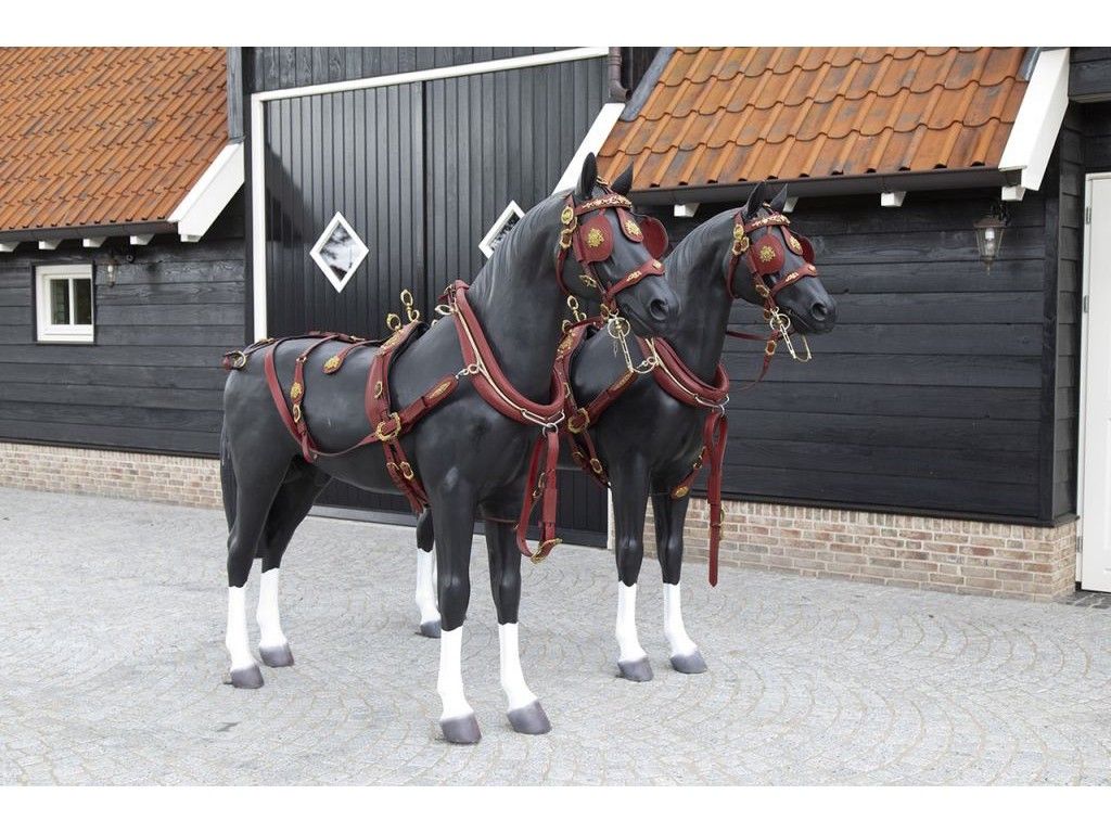 VAN DER WIEL TEAM HARNESS £9000