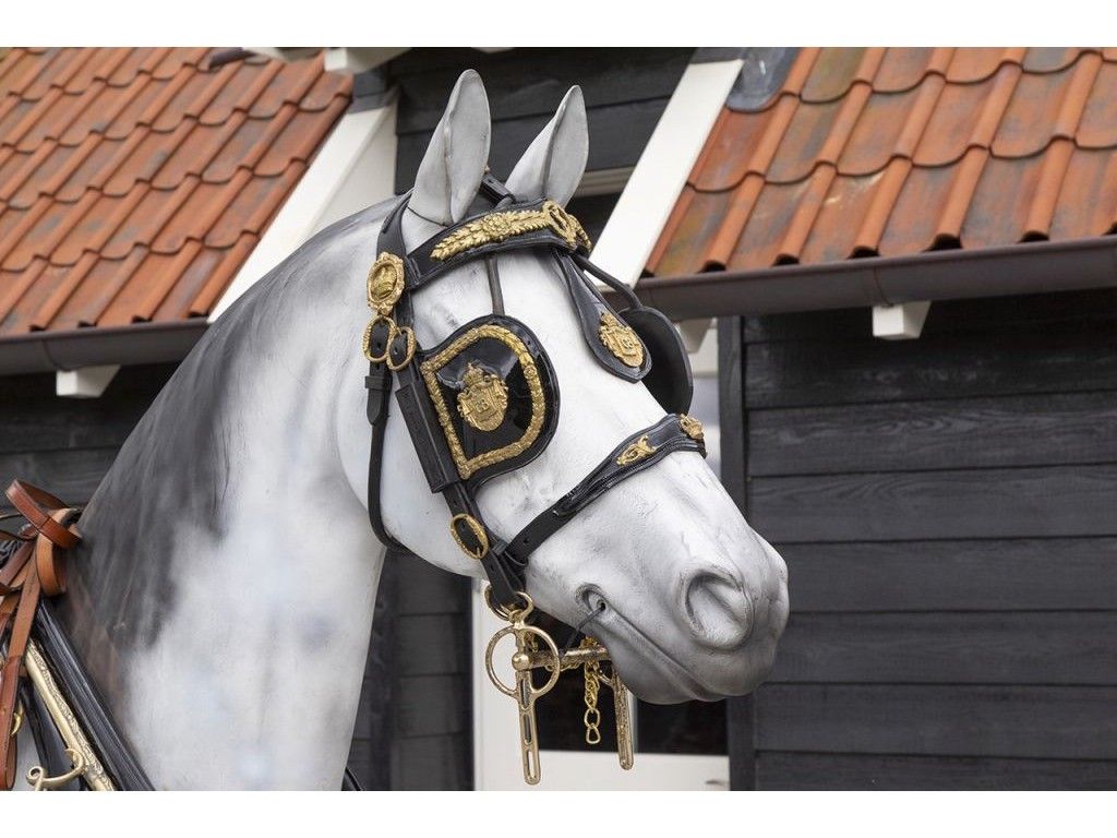 Van der Wiel introduces new training harness for hackney and Dutch harness  horses - Hoefnet nieuws over in- en outdoor menwedstrijde