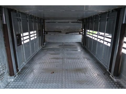 Pezzaioli RBA 31 - 2002 - 3 Floors - Livestock transport | Companjen Bedrijfswagens BV [5]