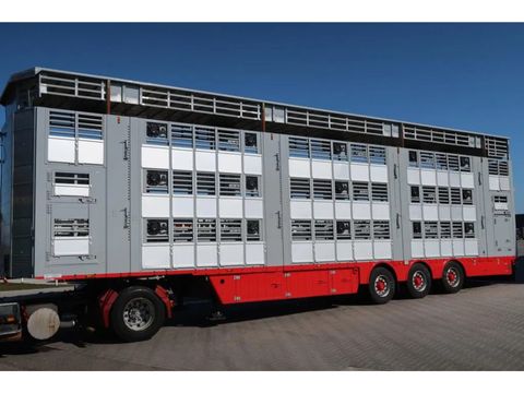 Pezzaioli SBA62 U - 2011 - 3 Floors - Livestock transport | Companjen Bedrijfswagens BV [3]