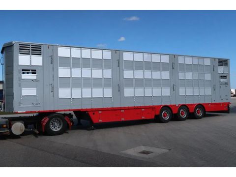 Pezzaioli SBA62 U - 2011 - 3 Floors - Livestock transport | Companjen Bedrijfswagens BV [4]