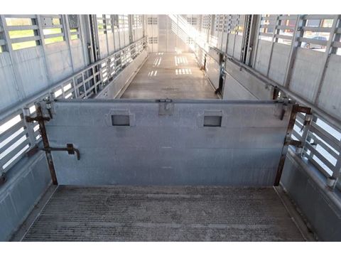 Pezzaioli SBA62 U - 2011 - 3 Floors - Livestock transport | Companjen Bedrijfswagens BV [43]