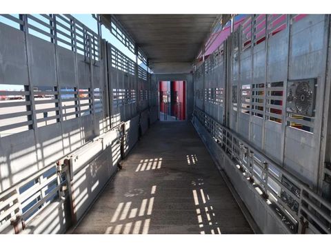 Pezzaioli SBA62 U - 2011 - 3 Floors - Livestock transport | Companjen Bedrijfswagens BV [49]