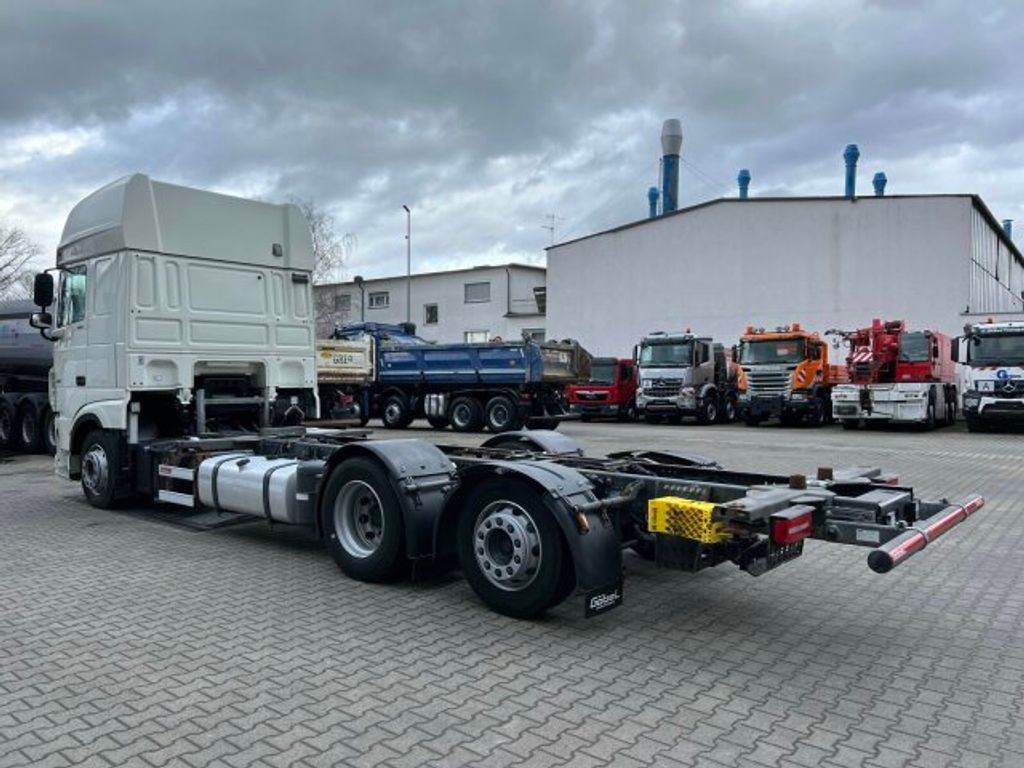 DAF  (6)