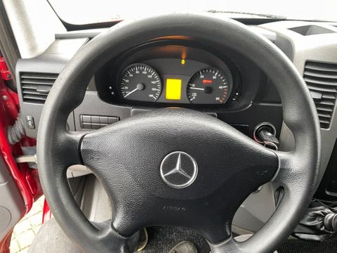 Mercedes-Benz 210CDI L2H2 270 Graden Deuren | Van Nierop BV [8]