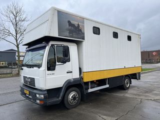man-le-8-180-horse-truck-4-paards