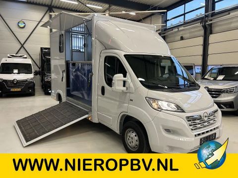 Opel Paardenwagen Hengsten Uitvoering Airco Cruisecontrol NIEUW | Van Nierop BV [1]