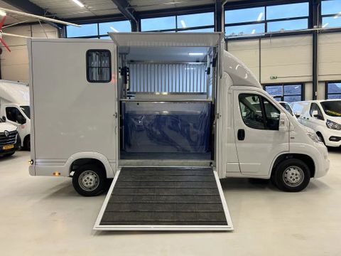 Opel Paardenwagen Hengsten Uitvoering Airco Cruisecontrol NIEUW | Van Nierop BV [11]