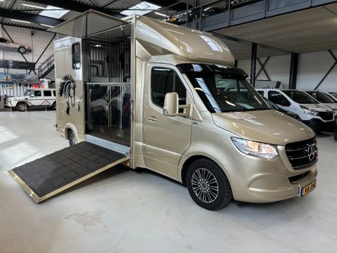 Mercedes-Benz 316CDI Vee/Paardenwagen Hengsten Uitvoering Airco Cruisecontrol 36.000KM | Van Nierop BV [2]