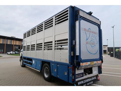 Scania P94 - 260, 1998 - Cattle and pigs transport | Companjen Bedrijfswagens BV [13]