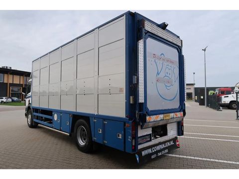 Scania P94 - 260, 1998 - Cattle and pigs transport | Companjen Bedrijfswagens BV [8]