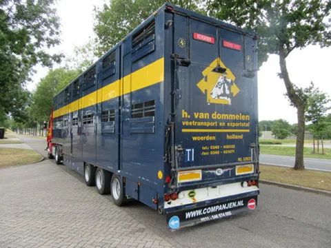 CUPPERS LSDO 12-27-L cattle transporter | Companjen Bedrijfswagens BV [2]