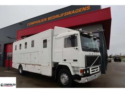 Volvo F12-20 - 1986 - Horse transport - Oldtimer | Companjen Bedrijfswagens BV [1]