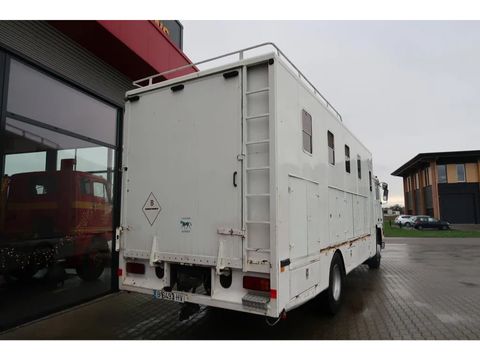 Volvo F12-20 - 1986 - Horse transport - Oldtimer | Companjen Bedrijfswagens BV [19]