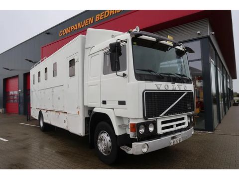 Volvo F12-20 - 1986 - Horse transport - Oldtimer | Companjen Bedrijfswagens BV [2]