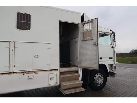 Volvo F12-20 - 1986 - Horse transport - Oldtimer | Companjen Bedrijfswagens BV [28]