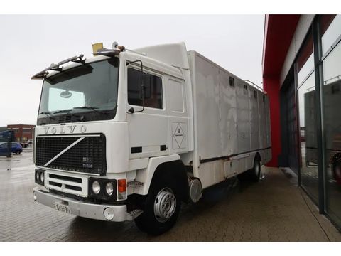 Volvo F12-20 - 1986 - Horse transport - Oldtimer | Companjen Bedrijfswagens BV [7]