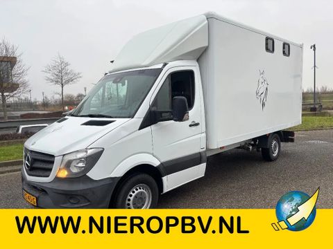 Mercedes-Benz 316CDI Paardenwagen/schapen pony's/ en klein vee /Veewagen Airco Cruisecontrol Trekhaak | Van Nierop BV [1]