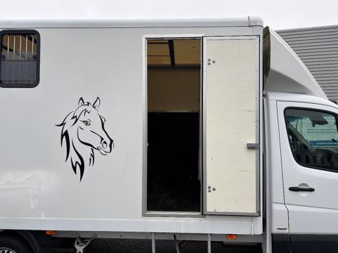Mercedes-Benz 316CDI Paardenwagen/schapen pony's/ en klein vee /Veewagen Airco Cruisecontrol Trekhaak | Van Nierop BV [12]