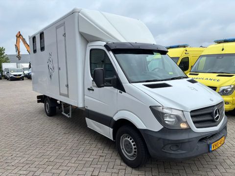 Mercedes-Benz 316CDI Paardenwagen/schapen pony's/ en klein vee /Veewagen Airco Cruisecontrol Trekhaak | Van Nierop BV [2]