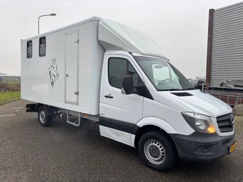 Mercedes-Benz 316CDI Paardenwagen/schapen pony's/ en klein vee /Veewagen Airco Cruisecontrol Trekhaak | Van Nierop BV [3]