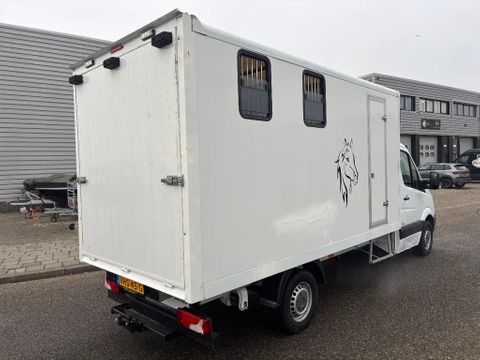 Mercedes-Benz 316CDI Paardenwagen/schapen pony's/ en klein vee /Veewagen Airco Cruisecontrol Trekhaak | Van Nierop BV [3]