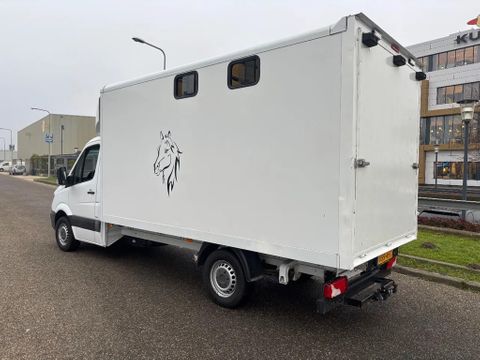 Mercedes-Benz 316CDI Paardenwagen/schapen pony's/ en klein vee /Veewagen Airco Cruisecontrol Trekhaak | Van Nierop BV [4]