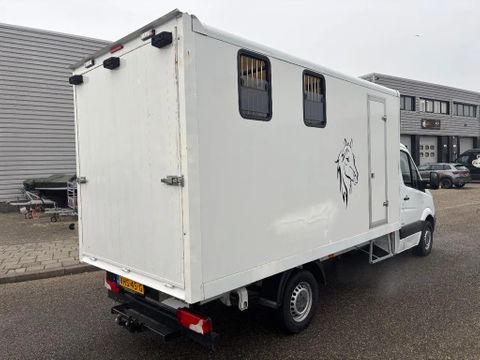 Mercedes-Benz 316CDI Paardenwagen/schapen pony's/ en klein vee /Veewagen Airco Cruisecontrol Trekhaak | Van Nierop BV [4]