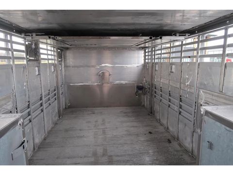Pezzaioli SBA 63 - BRAND NEW  Livestock transport - Cattle transport | Companjen Bedrijfswagens BV [15]