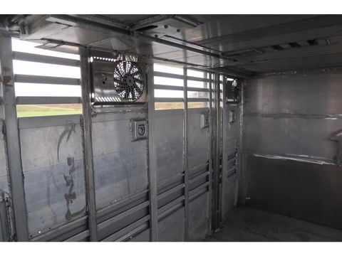 Pezzaioli SBA 63 - BRAND NEW  Livestock transport - Cattle transport | Companjen Bedrijfswagens BV [16]