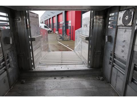 Pezzaioli SBA 63 - BRAND NEW  Livestock transport - Cattle transport | Companjen Bedrijfswagens BV [20]