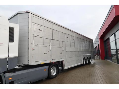 Pezzaioli SBA 63 - BRAND NEW  Livestock transport - Cattle transport | Companjen Bedrijfswagens BV [3]