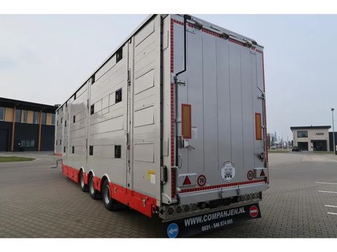 Pezzaioli SBA 31 - New - Pezzaioli Livestock Transport | Companjen Bedrijfswagens BV [10]