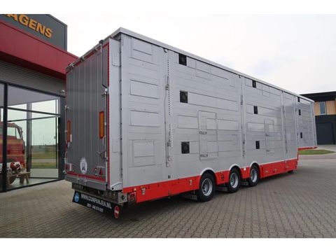 Pezzaioli SBA 31 - New - Pezzaioli Livestock Transport | Companjen Bedrijfswagens BV [14]