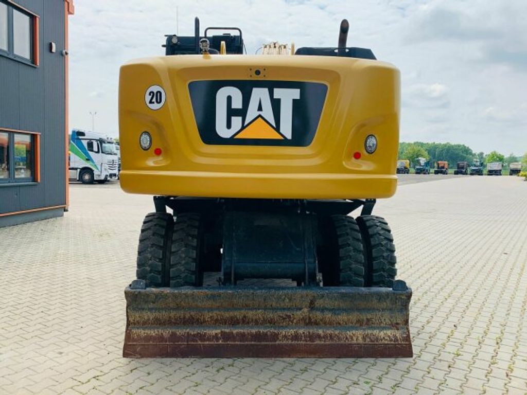 Cat  (5)