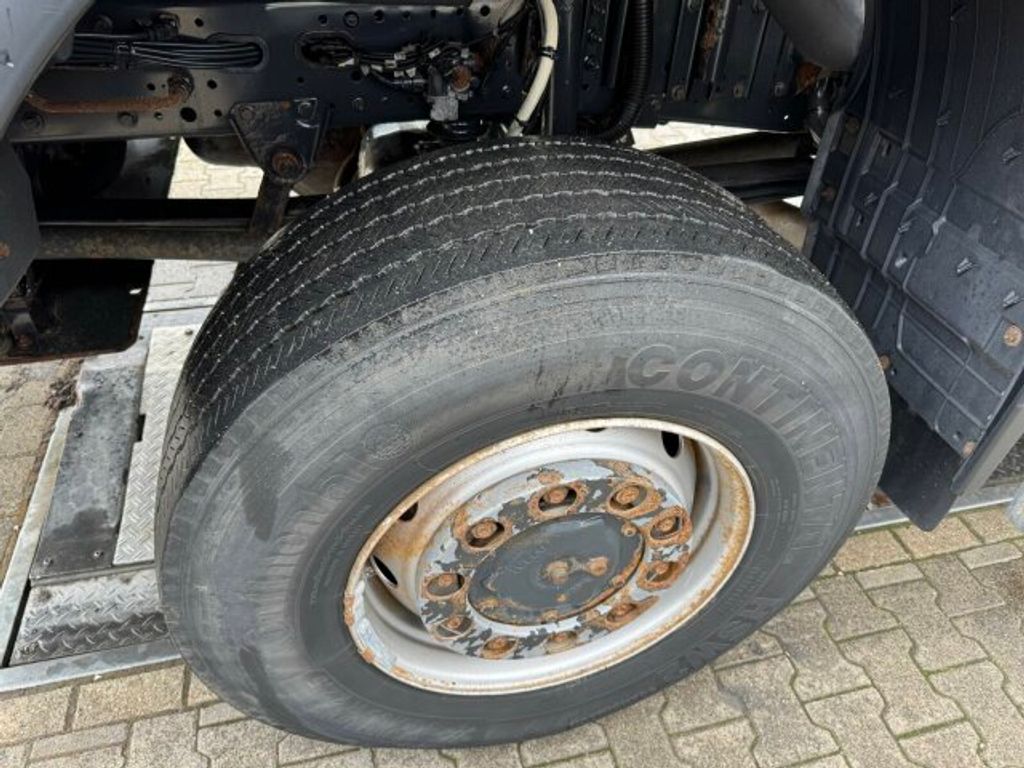 Iveco  (14)