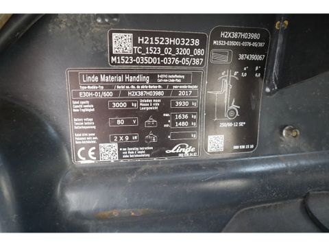 Linde
E30H - 01/600 | CASCADE FORKS | GOOD CONDITION | Hulleman Trucks [19]