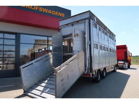 Pezzaioli RBA 31 - Cattle transport | Companjen Bedrijfswagens BV [15]