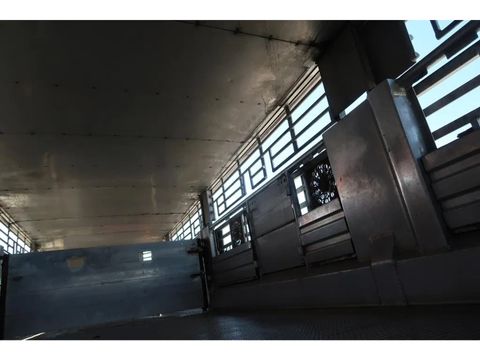 Pezzaioli RBA 31 - Cattle transport | Companjen Bedrijfswagens BV [21]