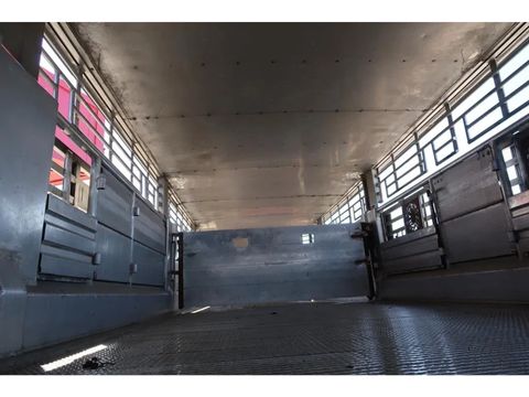 Pezzaioli RBA 31 - Cattle transport | Companjen Bedrijfswagens BV [22]