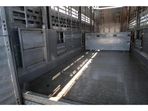 Pezzaioli RBA 31 - Cattle transport | Companjen Bedrijfswagens BV [27]