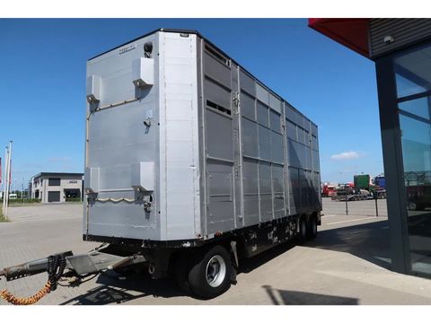 Pezzaioli RBA 31 - Cattle transport | Companjen Bedrijfswagens BV [3]
