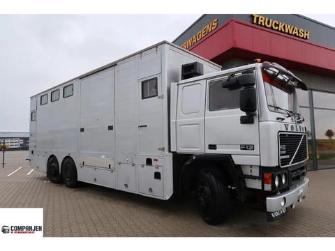 Volvo F12-360 - Classic truck - Horse truck | Companjen Bedrijfswagens BV [1]