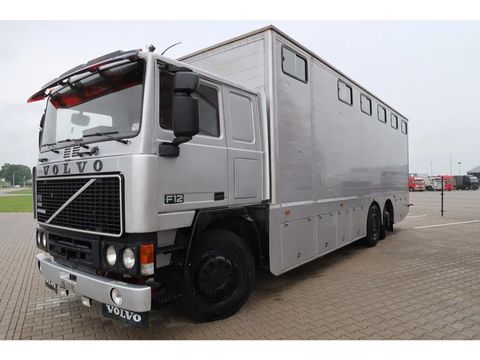 Volvo F12-360 - Classic truck - Horse truck | Companjen Bedrijfswagens BV [2]