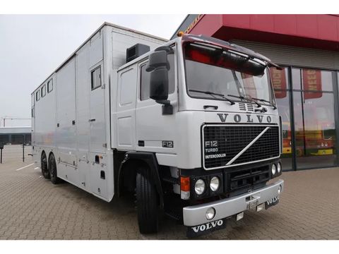 Volvo F12-360 - Classic truck - Horse truck | Companjen Bedrijfswagens BV [3]