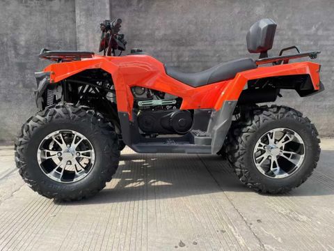 Quad DW ATV 300cc | Used Machinery Trading B.V. [1]