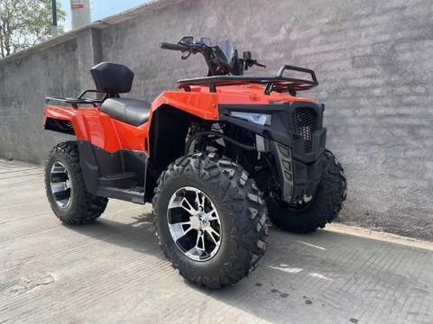 Quad DW ATV 300cc | Used Machinery Trading B.V. [3]